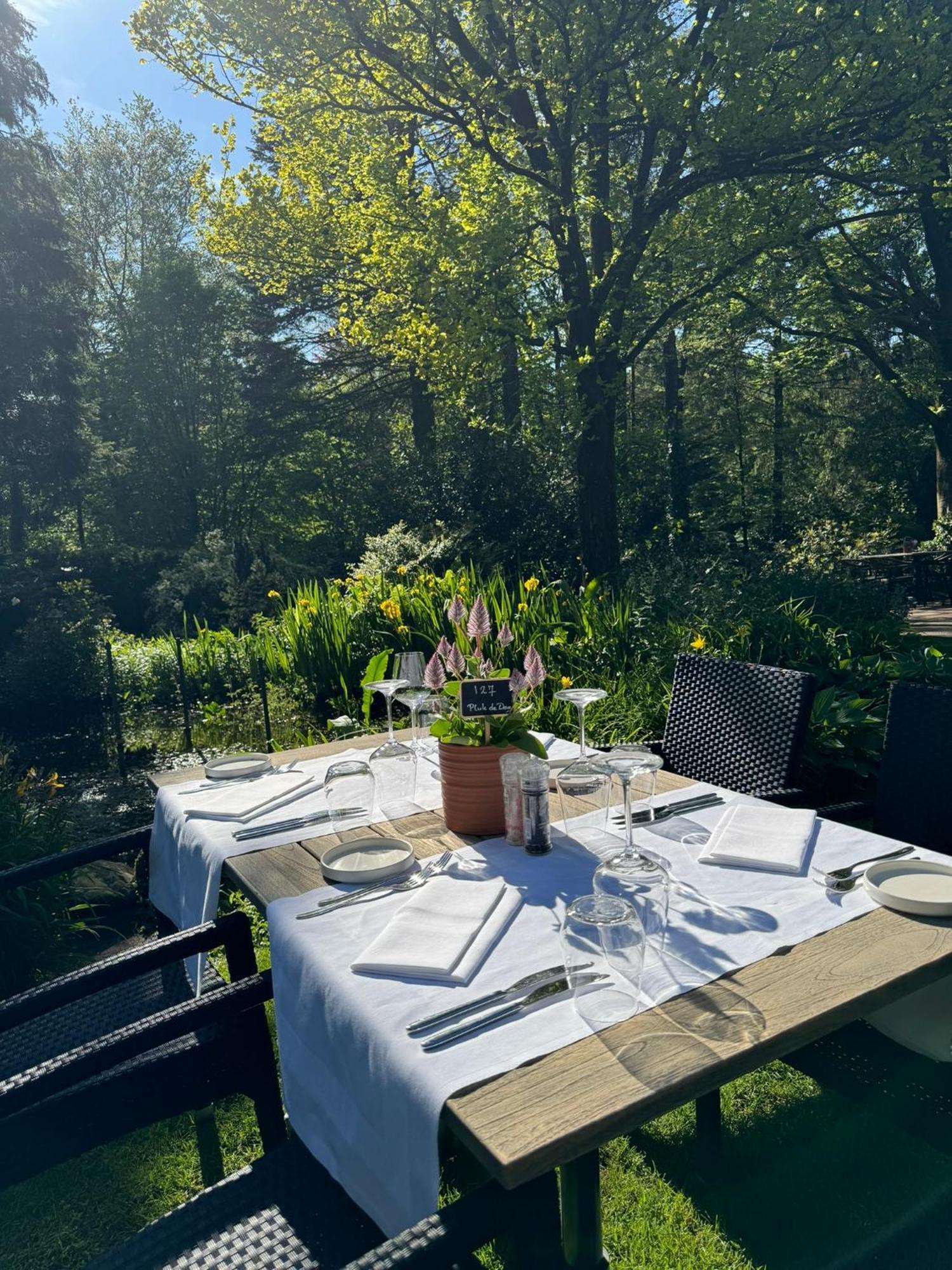 Witte Berken Natuurhotel Epe Extérieur photo